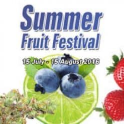 Summer Fruit Festival