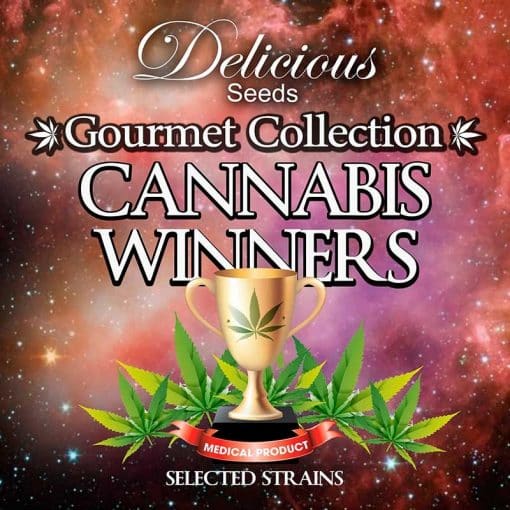 Cannabis Winners Mix