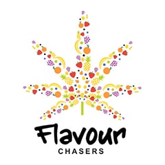 Flavour Chasers